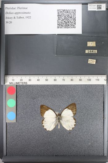 Media type: image;   Entomology 131658